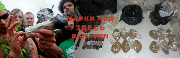 каннабис Алзамай