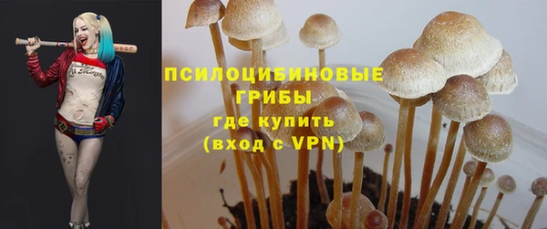 каннабис Алзамай