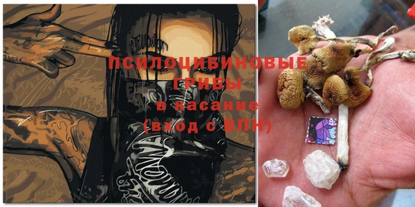 мяу мяу кристалл Алексин